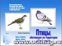 Демонстрационный материал. Птицы обитающие на территории нашей страны
