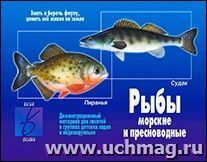 Демонстрационный материал. Рыбы морские и пресноводные