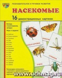 Насекомые. Демонстрационные картинки