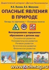 Опасные явления в природе. Беседы по картинкам. Дидактический материал "Детская безопасность"