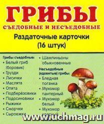 Грибы съедобные и несъедобные. Раздаточные карточки