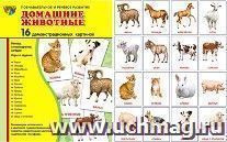 Домашние животные. Демонстрационные картинки