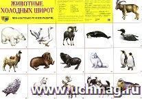 Животные холодных широт. Демонстрационные картинки
