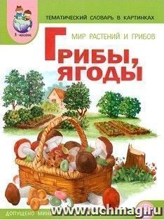 Тематический словарь в картинках. Мир растений и грибов. Грибы, ягоды