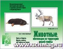 Демонстрационный материал. Животные, обитающие на территории нашей страны