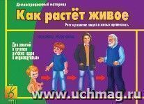 Демонстрационный материал. Как растет живое