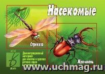 Демонстрационный материал. Насекомые