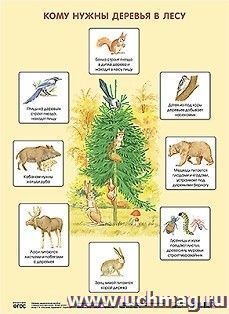 Плакат "Кому нужны деревья в лесу"