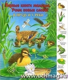 В пруду и у реки. Первые книги малыша. Учим новые слова