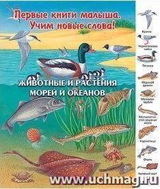 Животные и растения морей и океанов. Первые книги малыша. Учим новые слова
