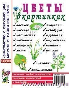 Цветы в картинках. Наглядное пособие для педагогов, логопедов, воспитателей, родителей