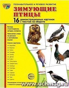 Зимующие птицы. Демонстрационные картинки