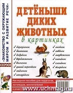 Детеныши диких животных в картинках