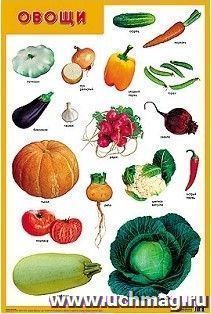 Плакат "Овощи"