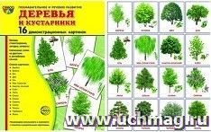 Деревья и кустарники. Демонстрационные картинки