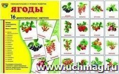 Ягоды. Демонстрационные картинки