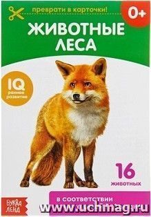 Обучающая книжка "Животные леса"
