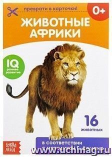 Обучающая книжка "Животные Африки"