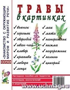 Травы в картинках. Наглядное пособие для педагогов, логопедов, воспитателей и родителей