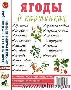 Ягоды в картинках. Наглядное пособие для педагогов, воспитателей, логопедов, родителей