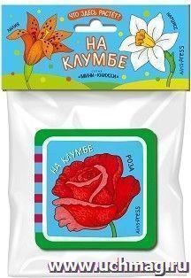На клумбе. Кто здесь живёт? Развивающая мини-книжка