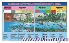 Плакат виниловый "Развитие растительного и животного мира"