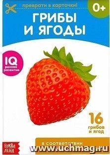 Обучающая книжка по методике Г. Домана "Грибы и ягоды"