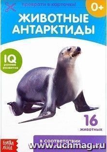 Обучающая книжка по методике Г. Домана "Животные Антарктиды"