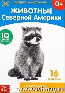 Обучающая книжка по методике Г. Домана "Животные Северной Америки"