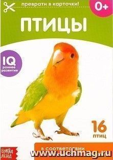Обучающая книжка по методике Г. Домана "Птицы"