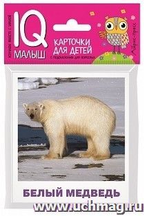 Животные полярных широт. Набор карточек для детей. IQ-малыш