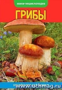 Энциклопедия-мини "Грибы"