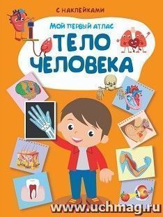 Тело человека. Мой первый атлас, с наклейками