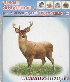 Обучающие карточки "Дикие животные"