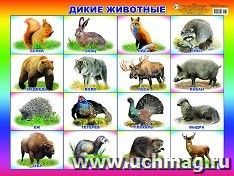 Плакат "Дикие животные"