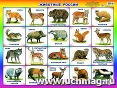 Плакат "Животные России"