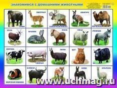 Плакат "Знакомимся с домашними животными"