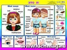 Плакат "Это я!"