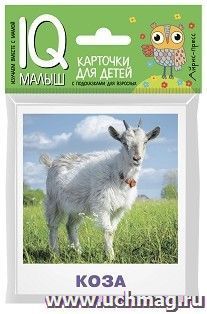 Домашние животные. Набор карточек для детей. IQ-малыш