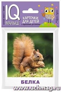 Кто живёт в лесу. Набор карточек для детей. IQ-малыш