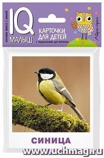 Птицы. Набор карточек. IQ-малыш