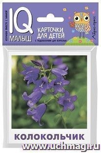 Что растет на клумбе? Набор карточек. IQ-малыш