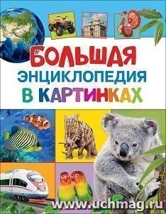 Большая энциклопедия в картинках