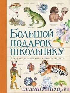Большой подарок школьнику