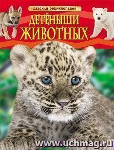 Детеныши животных. Детская энциклопедия