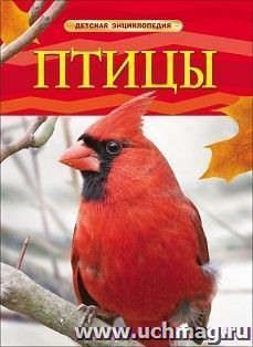 Птицы. Детская энциклопедия
