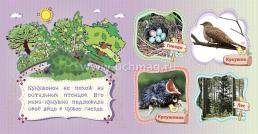 Дикие птицы и их птенцы: литературно-художественное издание для чтения родителями детям — интернет-магазин УчМаг