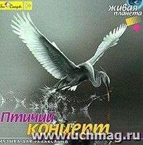 Компакт-диск. Музыка для релаксации. Птичий концерт