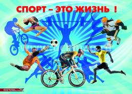 Комплект плакатов "Россия - спортивная страна": 8 плакатов с методическим сопровождением (Формат А3) — интернет-магазин УчМаг
