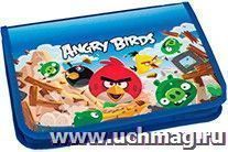 Папка для тетрадей "Angry Birds"